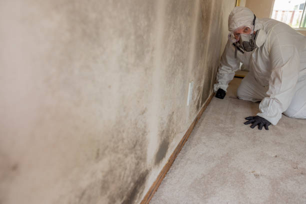 Trusted Glenpool, OK Mold Removal Experts